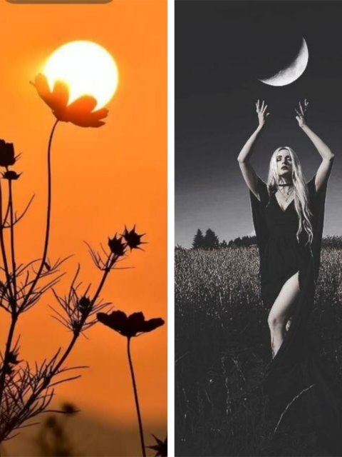 The Sun Is the Director and the Moon Is the Subliminal Self